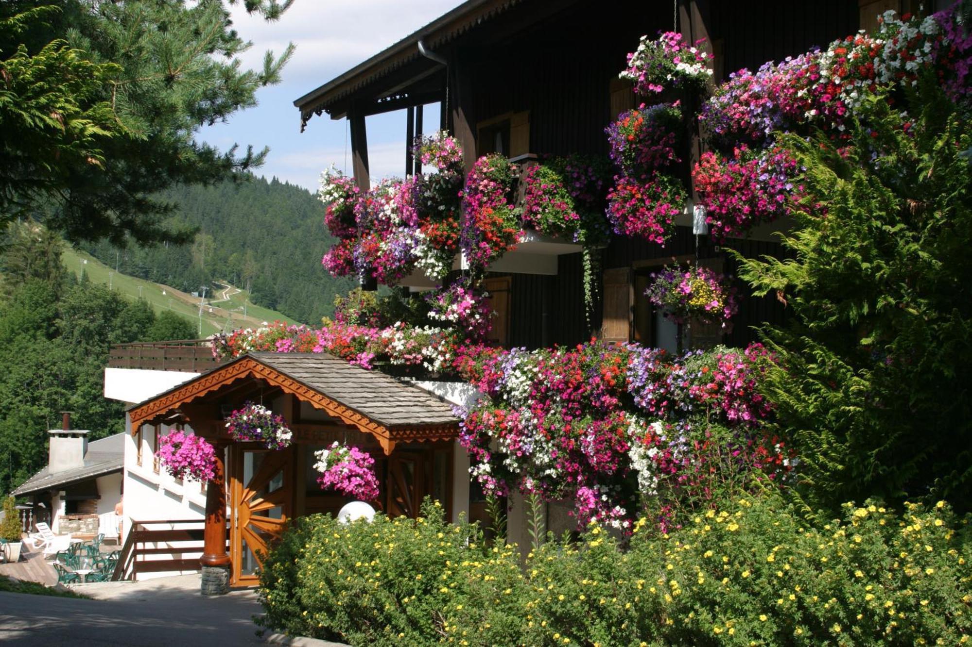 Hotel Le Petit Dru Морзин Экстерьер фото